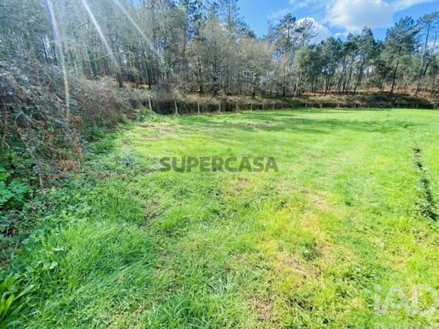 Terreno em Sapardos de 1460,00 m²