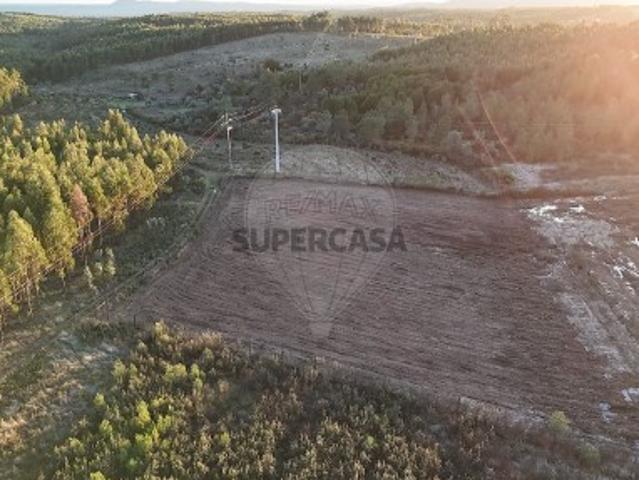Terreno em Sarnadas de Rodão