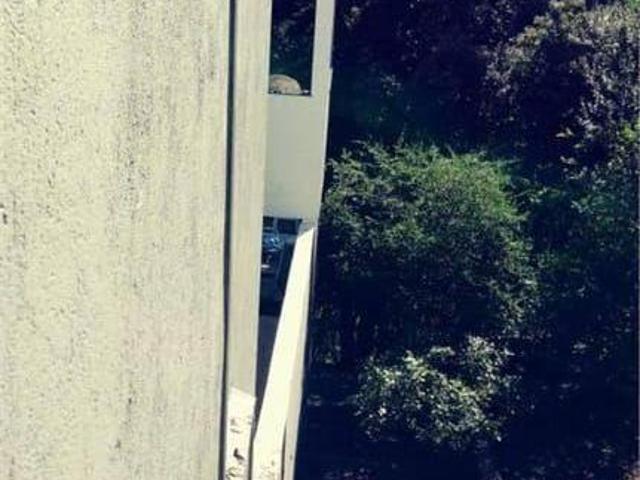 Terreno em Serra Da Cantareira, São Paulo/SP de 0m² à venda por R$ 650.000,00