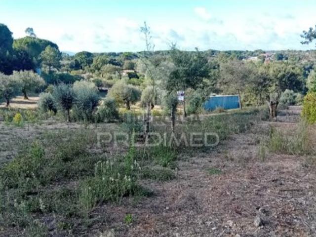 Terreno em Seiça