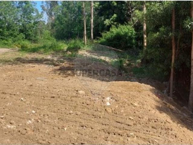 Terreno em Seixezelo