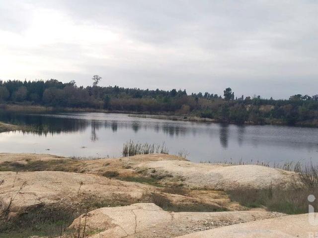 Terreno em Seixo da Beira de 16000,00 m²