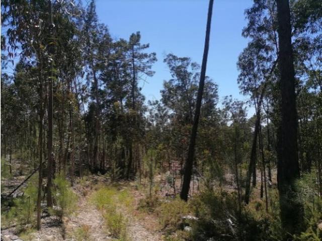 Terreno em Seixo de Gatões