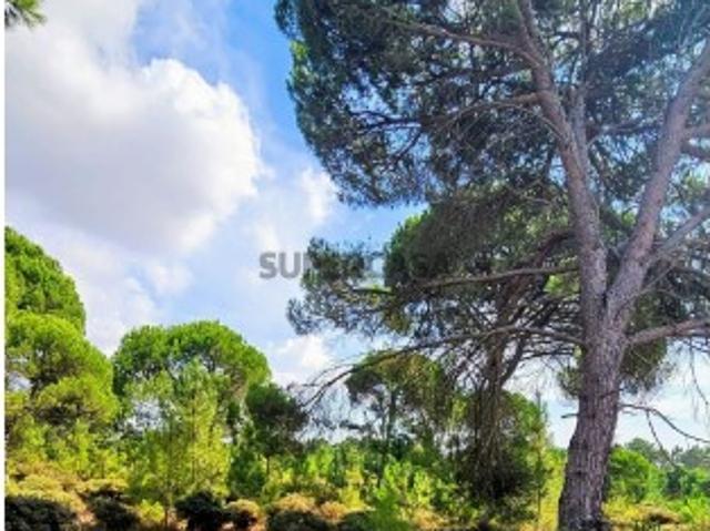 Terreno em Sesimbra Castelo