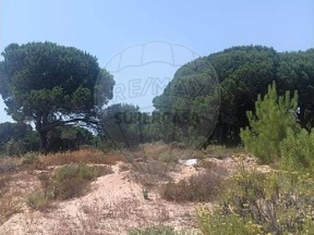 Terreno em Sesimbra Castelo