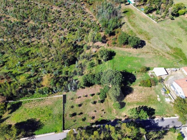 Terreno em Serém de Cima Macinhata do Vouga
