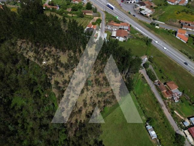 Terreno com 7.350 m² em Serém de Cima, Macinhata do Vouga, concelho de Águeda