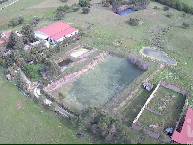 Terreno em Serpa