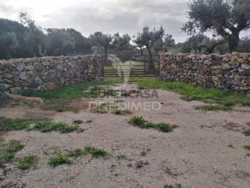 Terreno em Serra de Santo António
