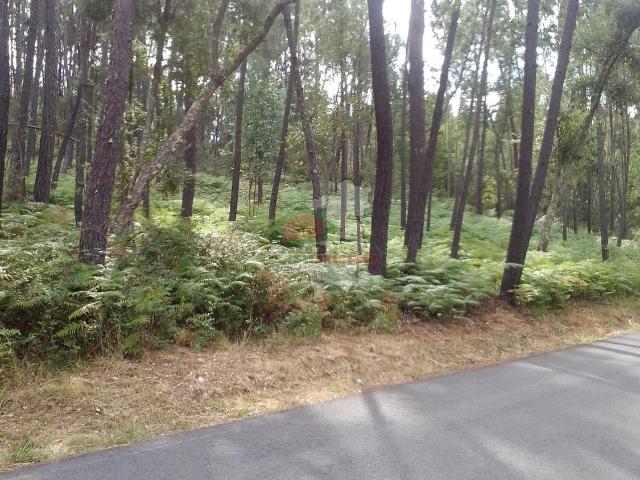 Terreno em sertã