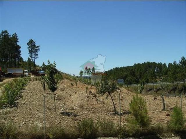Terreno em sertã