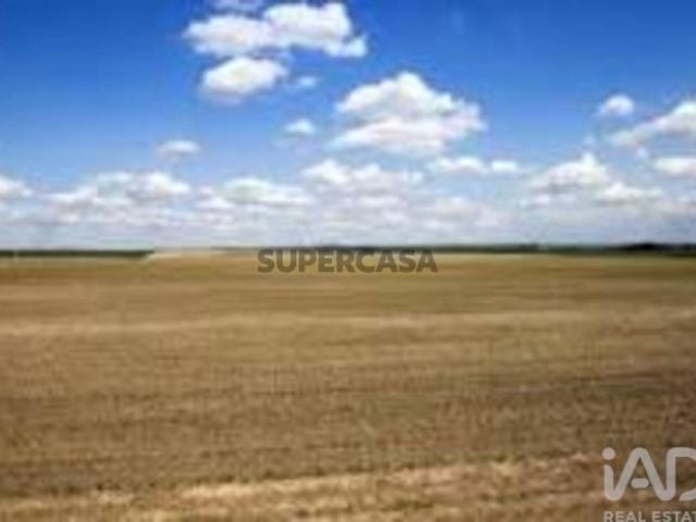 Terreno em Silgueiros de 1000,00 m²