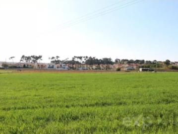 Terreno em Silveira