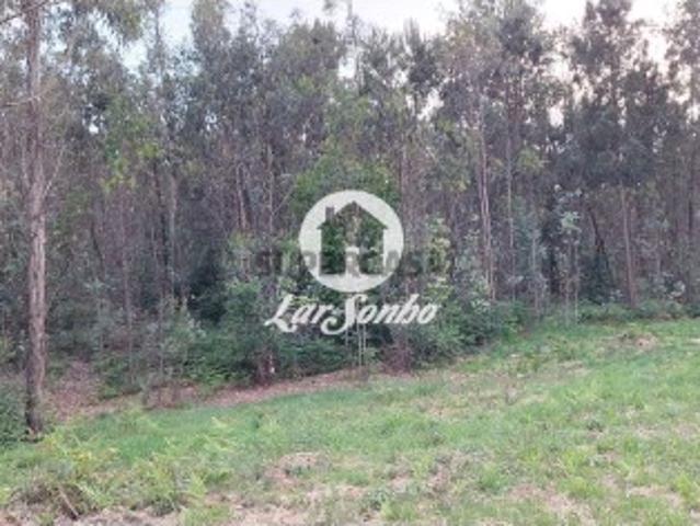 Terreno em Rio Covo Santa Eulália