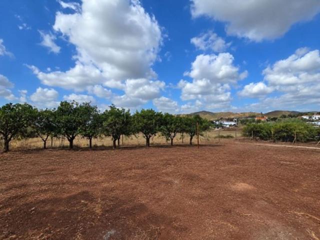 Terreno em Silves