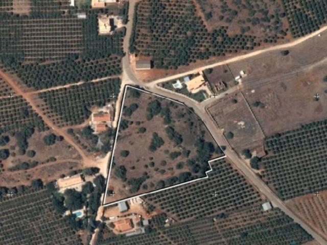 Terreno em Silves