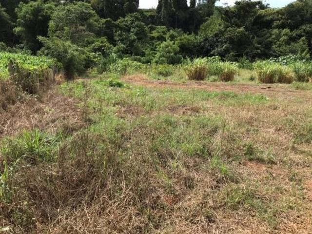 Terreno em Socorro, Socorro/SP de 1000m² à venda por R$ 280.000,00