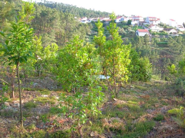 Terreno em Soalheira