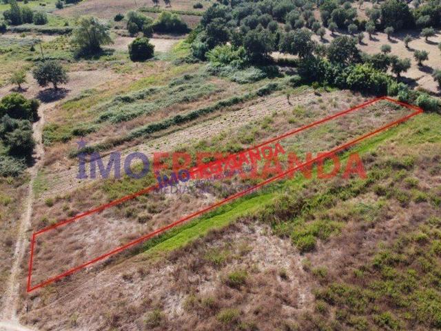 Terreno em Soalheira