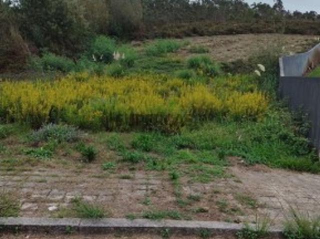 Terreno em Sobrado