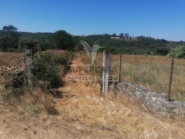 Terreno em Santo Quintino