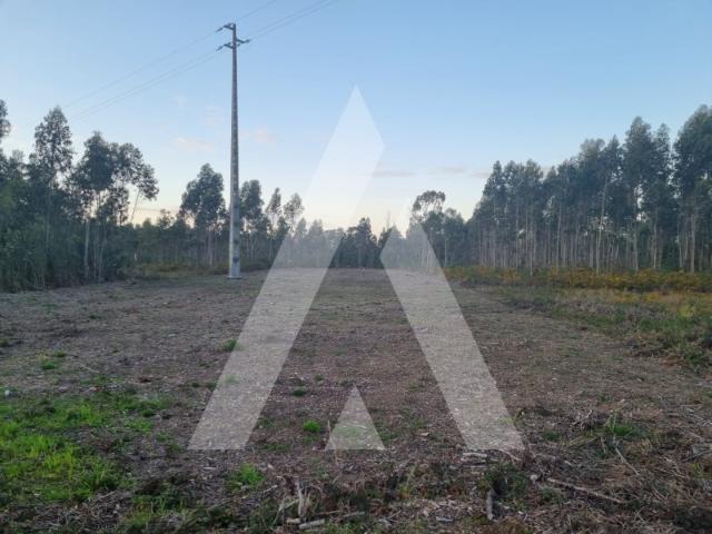 Terreno em Sosa