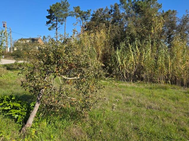 Terreno em Soure, Coimbra Excelente oportunidade de négocio