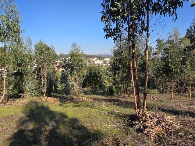 Terreno em Soure, Coimbra Oportunidade Única de Construção