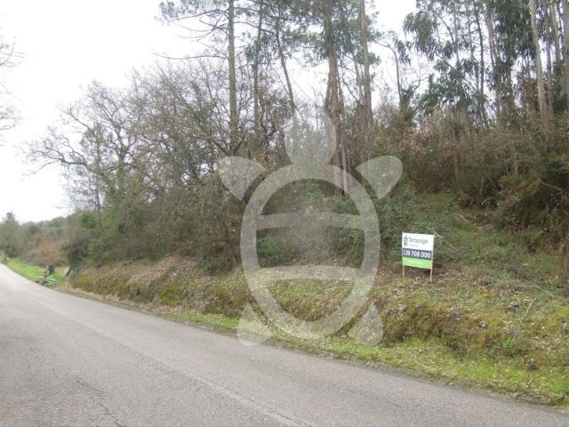 Terreno em Soure