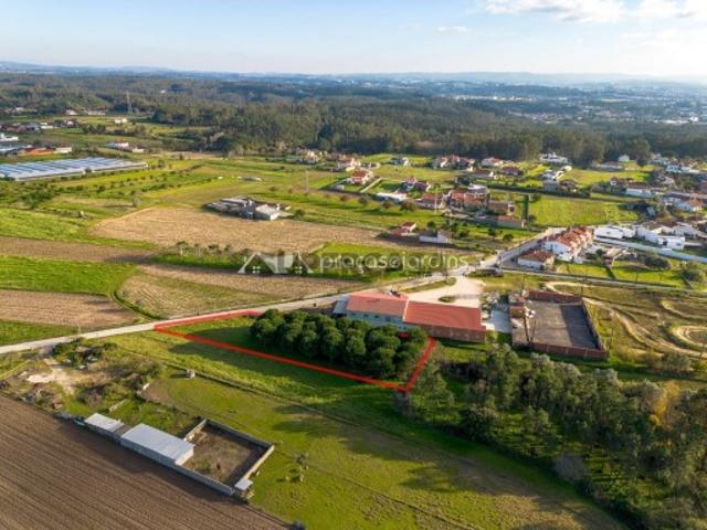 Terreno em Ortigosa