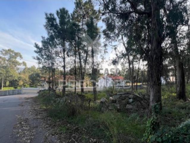 Terreno em Turiz