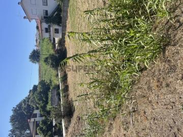 Terreno em Tavarede