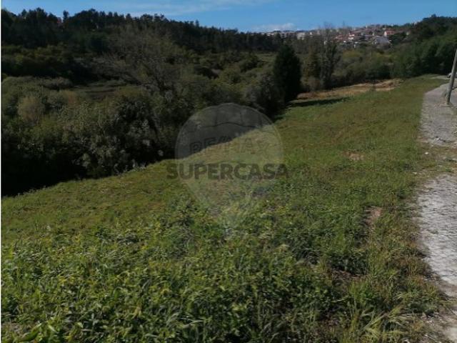 Terreno em Tavarede