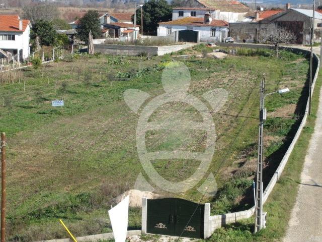 Terreno em Taveiro Coimbra