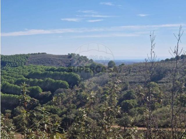 Terreno em Tavira Santa Maria e Santiago