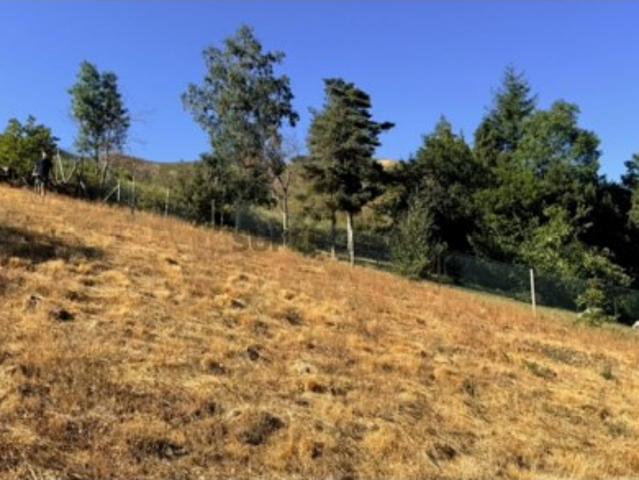 Terreno em Teixeira e Teixeiró