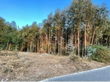 Terreno em Teomil Tondela