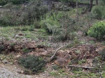 Terreno em Telões