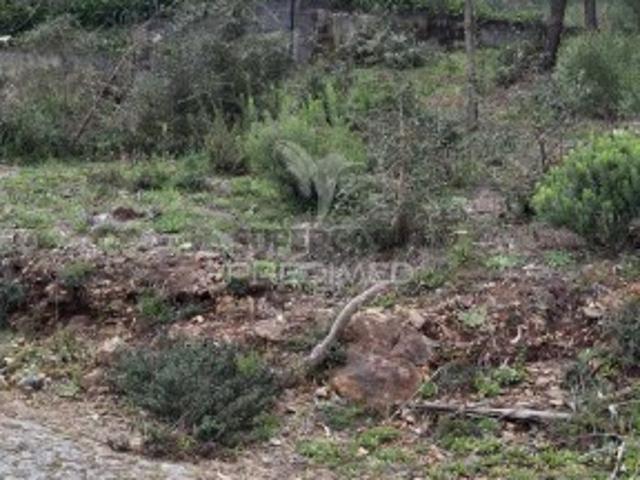 Terreno em Telões