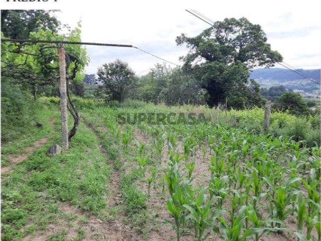 Terreno em Termas de São Vicente