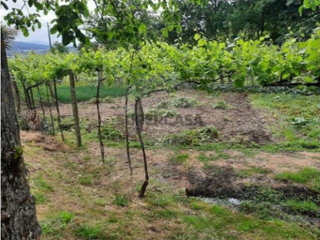 Terreno em Termas de São Vicente