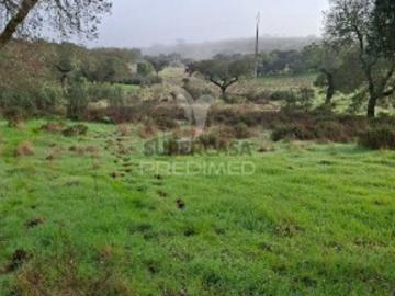Terreno em N.S. Conceição, S.Brás Matos, Juromenha