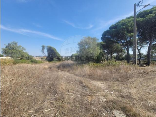 Terreno em Terrugem
