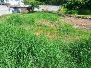 Terreno em Terra Preta/ Jardim Pereira