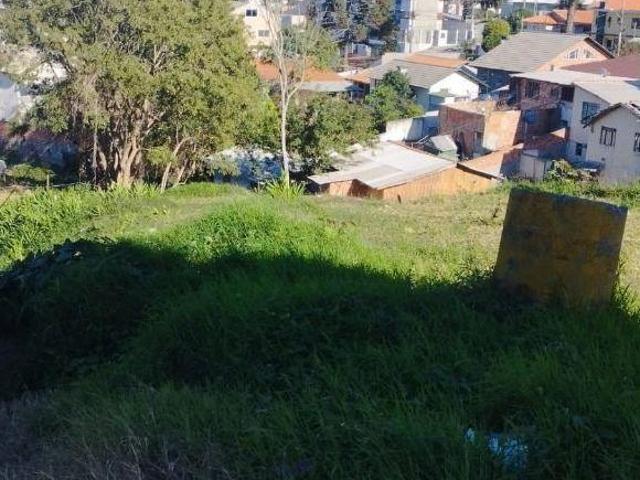 Terreno em Tingui, Curitiba/PR de 0m² à venda por R$ 700.000,00