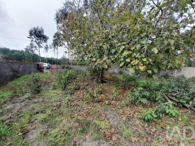 Terreno em Tocha