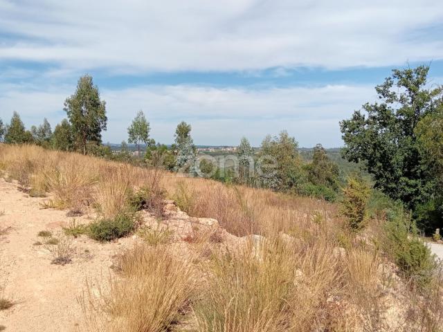 Terreno em Tonda com 2250 m2