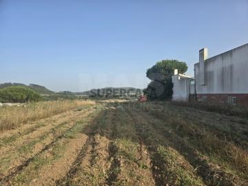 Terreno em Tornada e Salir do Porto