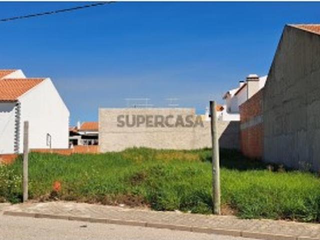 Terreno em Torrão