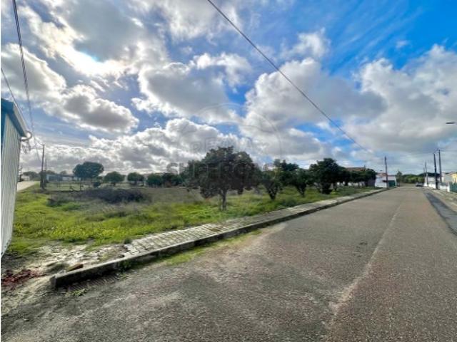 Terreno em Torrão